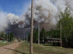 Виновник возникновения крупного природного пожара у села Тюбяй Сунтарского улуса дал признательные показания