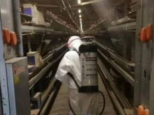 Дезинфекция на птицефабриках Якутии идет полным ходом