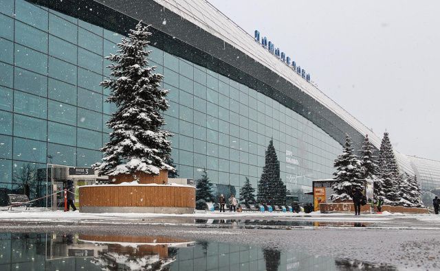 "Домодедово" удалось продать со второй попытки