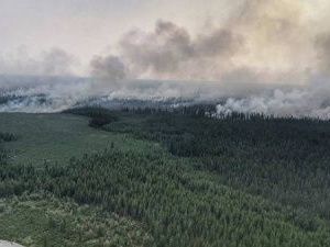 В Якутии сотрудник Авиалесоохраны умер после тушения лесных пожаров