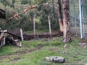 Ураган обрушился на зоопарк «Орто Дойду»