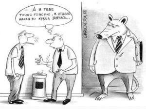 В МВД Якутии завелась «крыса»?