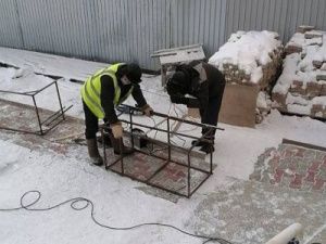 В Якутске установят ловушки для отлова безнадзорных собак