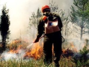 На территории Якутии действуют 73 лесных пожара