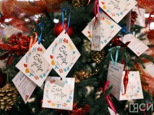 Боец из Якутии из зоны СВО принял участие в акции «Ёлка добра»