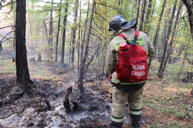 Срочно: В Якутии объявлен режим чрезвычайной ситуации из-за лесных пожаров