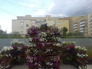 Дополнительные цветочные клумбы переустановят в близлежащий сквер на проспекте Ленина