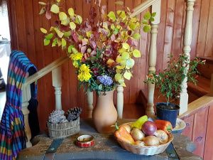 Владелица популярного сайта продает свой уютный дом!