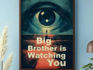 Большой брат следит за тобой: якутян оштрафовали по видеокамерам на 569 млн рублей