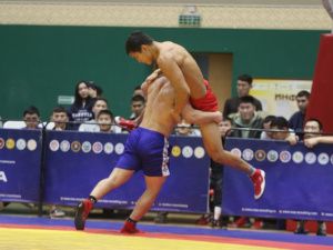 Абсолютными чемпионами Якутии по хапсагаю среди юниоров стали Сергей Николаев и Андриан Ленский