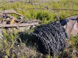 Более 137 тонн металлолома и мусора собрали в Тикси в рамках проекта «Чистая Арктика»