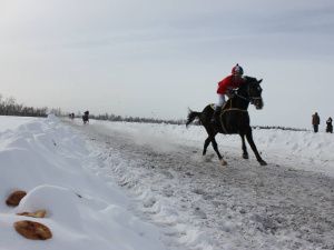 В Якутии дан старт мероприятиям, посвященным Дню коневода-табунщика