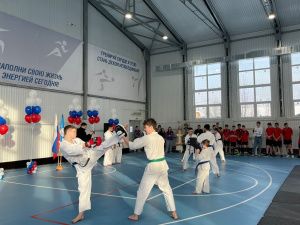 В Якутии реализуют проект «Киокусинкай в школу»