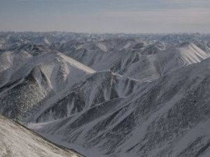 Житель Якутии две недели выживал в глухой тайге: его ноги были стерты до крови