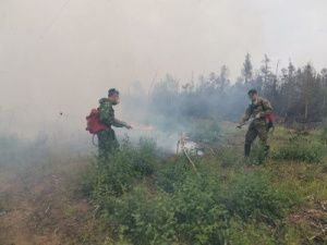 В Якутии наградили полицейских, участвовавших в ликвидации пожаров на территории Горного района