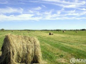 Объем финансирования сельского хозяйства Якутии не будет снижен в 2025 году