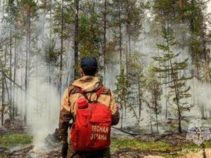 В пяти районах Якутии прогнозируют высокий класс пожароопасности