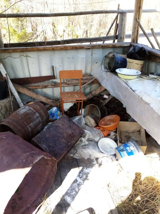 Неожиданный гость устроил погром