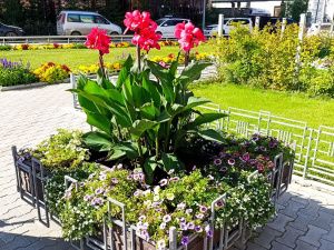 Награждение победителей конкурса "Зеленый кубок столицы 2025" прошло в Парке Победы