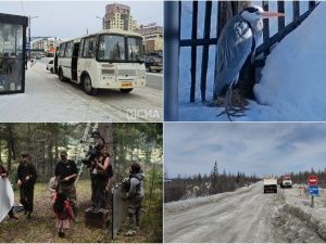 Что произошло в Якутии 23 апреля: обзор событий за день