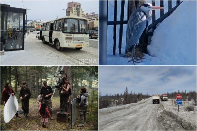 Что произошло в Якутии 23 апреля: обзор событий за день