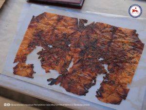 Сохранились в вечной мерзлоте