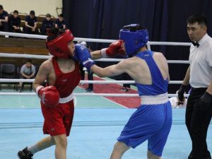 В Нерюнгри стартовал межрегиональный турнир по боксу