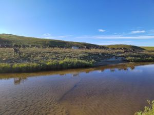 Оленевод с 28-летним стажем Роман Туприн: «Мы приобщаем детей к оленеводству с малого возраста»