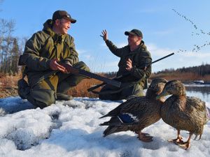 Охотникам Якутии предлагают внеочередные разрешения за участие в учете зверя