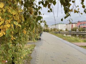 Как долго сохранится теплая погода в Якутии, рассказали в УГМС