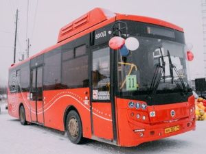 Школьники из многодетных семей Якутска смогут бесплатно ездить на городских и пригородных автобусах