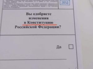 ПИСЬМО ЧИТАТЕЛЯ: грамматический "косяк в бюллетене по Конституции"