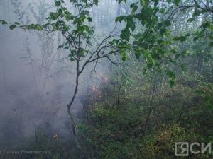В Якутии ведутся работы по тушению 37 лесных пожаров
