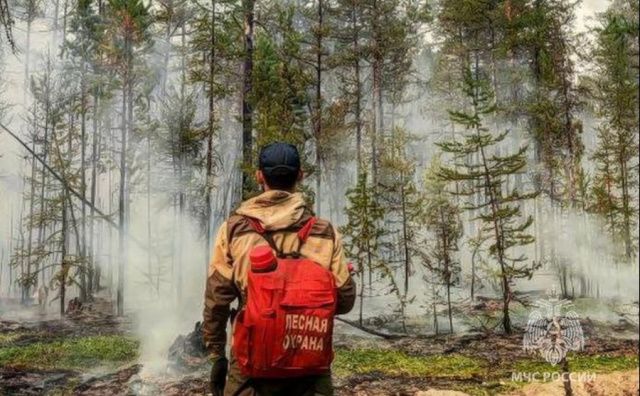 В пяти районах Якутии прогнозируют высокий класс пожароопасности