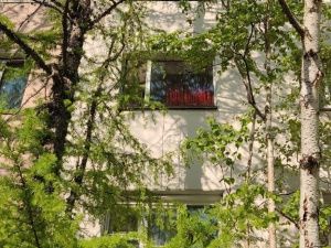 В Ленске из окна третьего этажа выпала 5-летняя девочка: Следком начал проверку