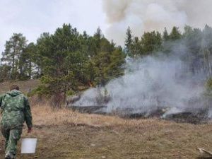 В Якутии горит более 1500 гектаров леса