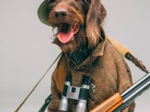 Якутский фотограф «очеловечил» домашних питомцев