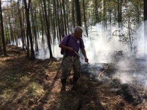 Якутск окутал дым от лесных пожаров