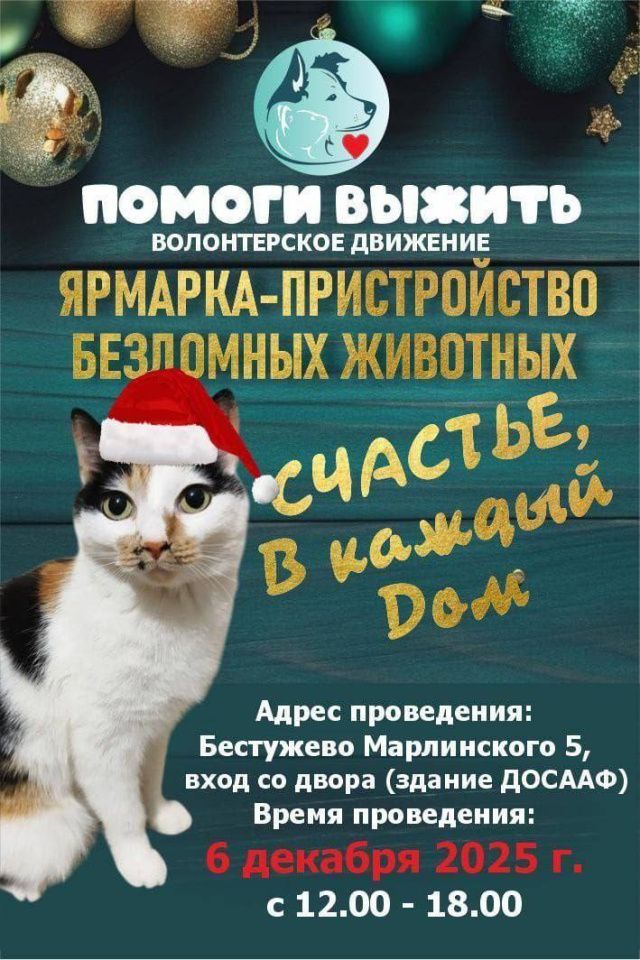 Якутян приглашают посетить зимнюю ярмарку-пристройство бездомных животных «Счастье в каждый дом»