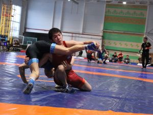 В Усть-Алданском районе дали старт чемпионату Якутии по вольной борьбе памяти Николая Тарского