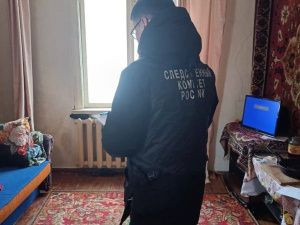 Житель Якутии зарубил собутыльника кухонным топором