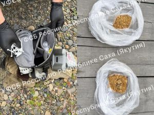 Житель Якутии предстал перед судом за хранение более 600 граммов природного золота стоимостью 4,6 млн рублей