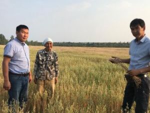 В хозяйстве Евдокии Денисовой прогнозируется хороший урожай  