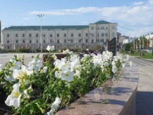 В Якутске высадят шесть тысяч деревьев и кустарников