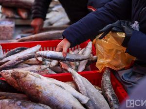 Море рыбы: Традиционная ярмарка развернулась на Комсомольской площади