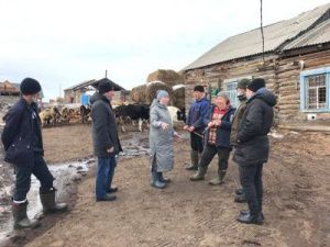 Командно-штабное учение. В Тойон-Ары провели тренировочный отгон скота