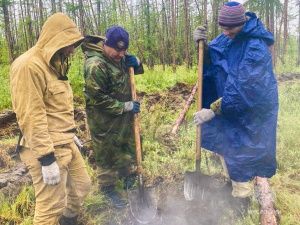 На территории Якутии действуют 100 природных пожаров