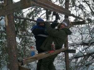 Кормушки для голодающих зимой косуль