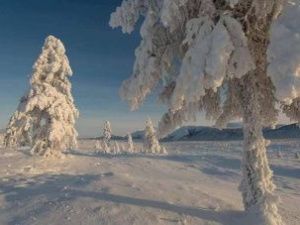 Прогноз погоды в Якутске на 18 января