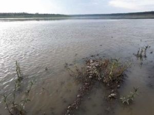 Власти обещают новую жизнь в Нюрбе: с чистой водой и без мусора